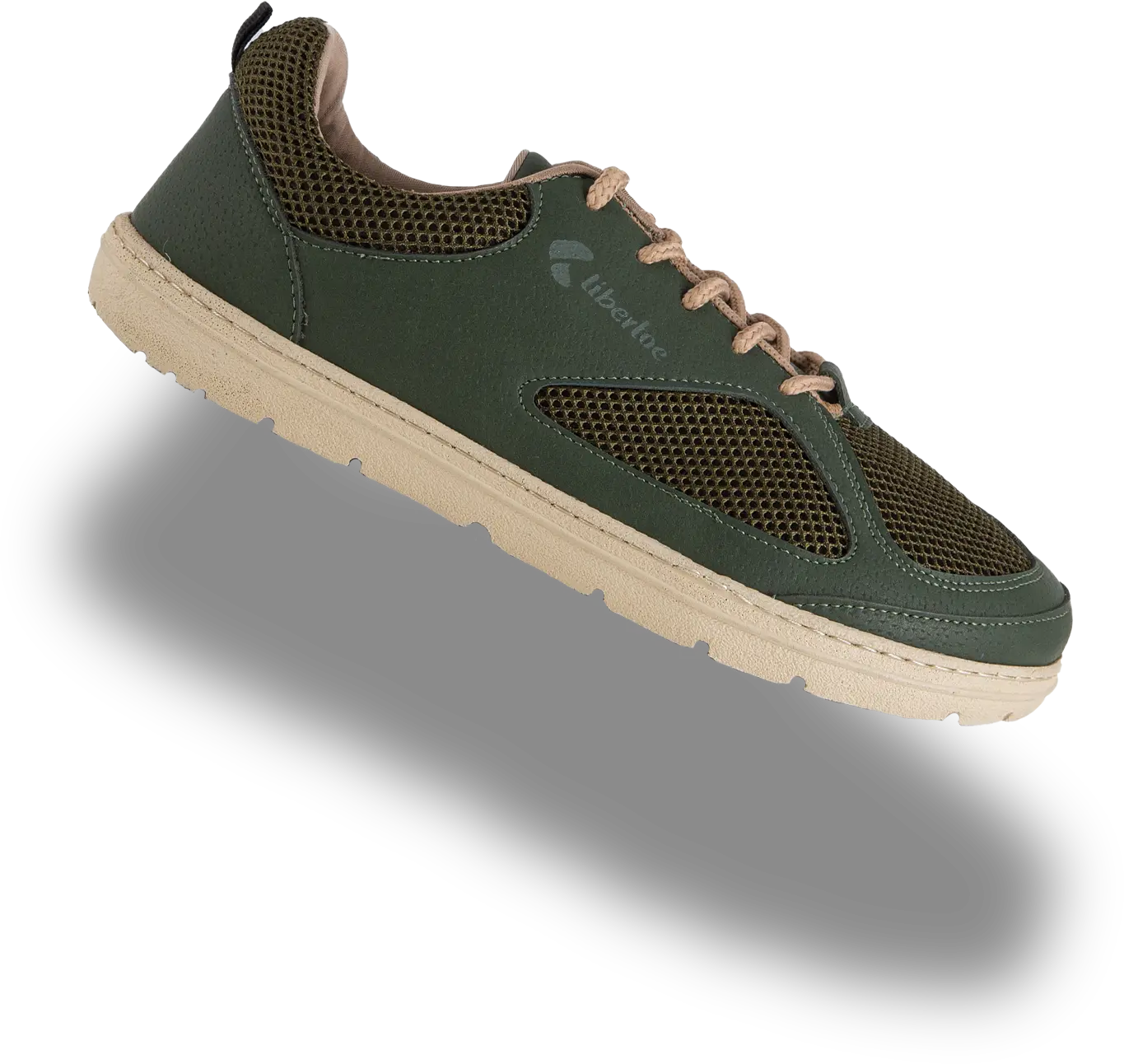 shoe1