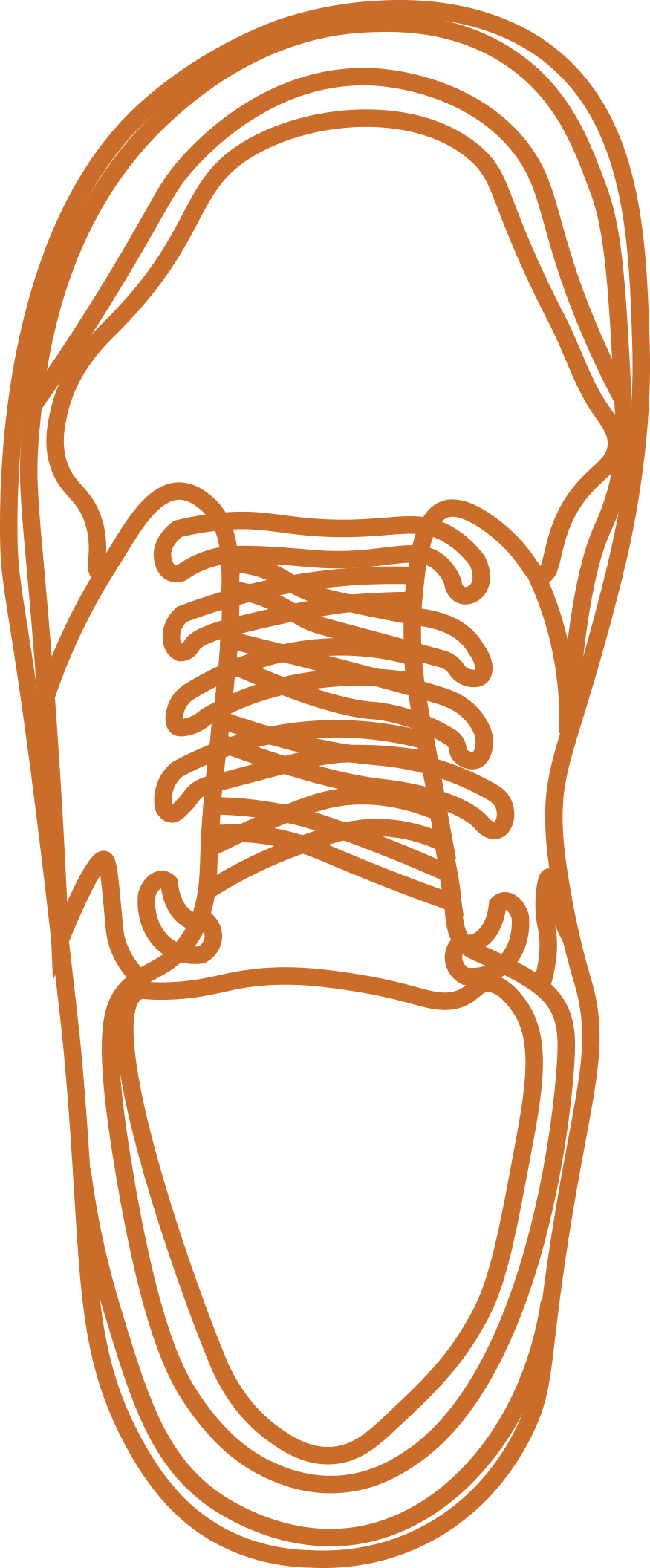 تیبیالیس